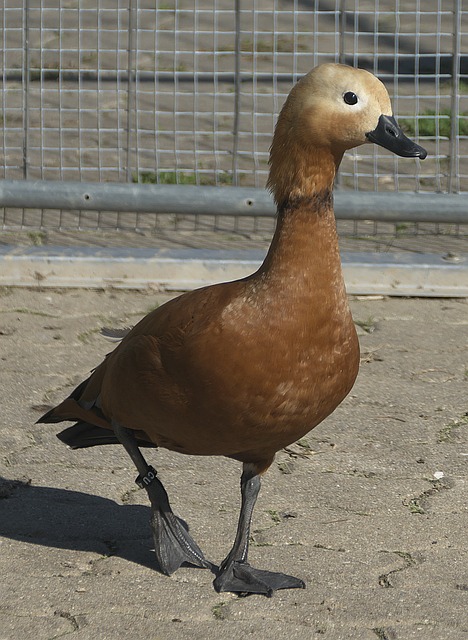 我们能够看