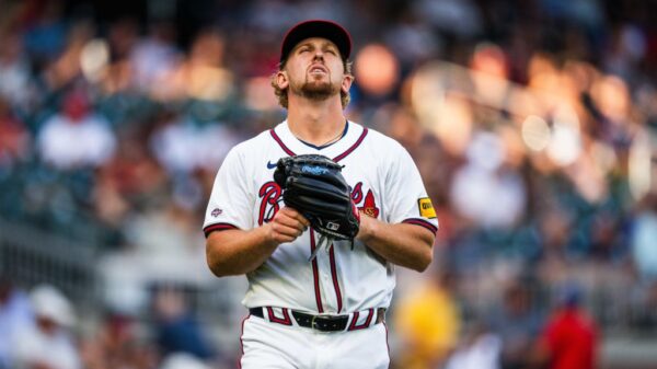 这种发展无 这种发展无