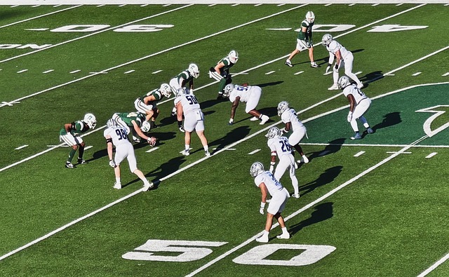 的乌度卡语 的乌度卡语