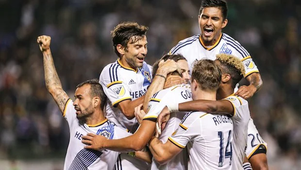 们在整个法 们在整个法