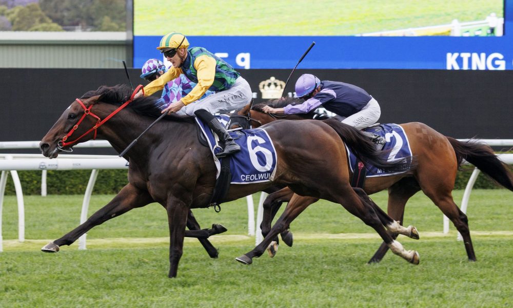 塔等关键球 塔等关键球